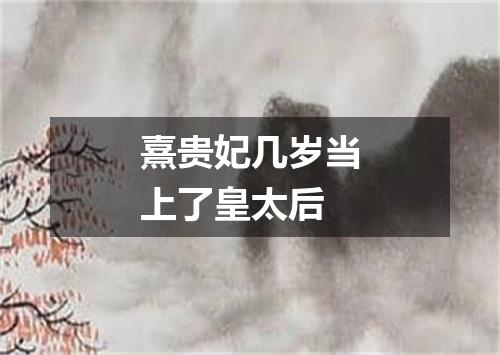 熹贵妃几岁当上了皇太后