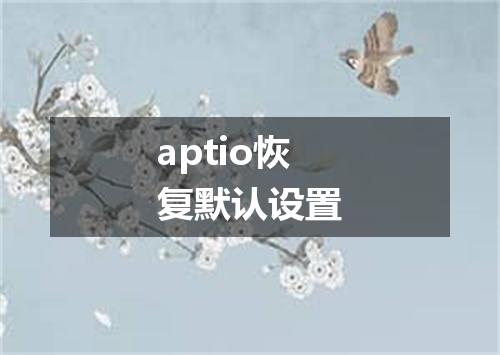 aptio恢复默认设置