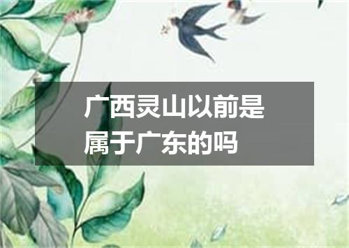 广西灵山以前是属于广东的吗