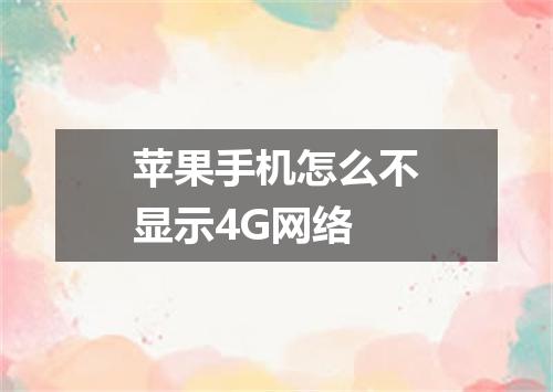 苹果手机怎么不显示4G网络