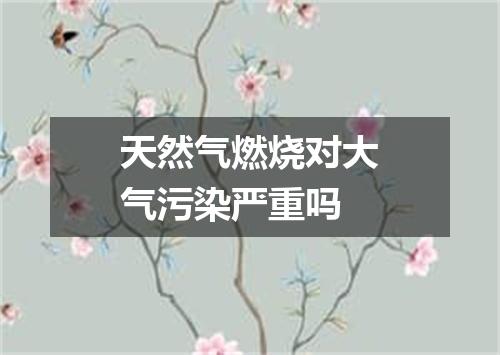 天然气燃烧对大气污染严重吗
