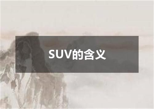 SUV的含义