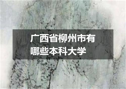 广西省柳州市有哪些本科大学