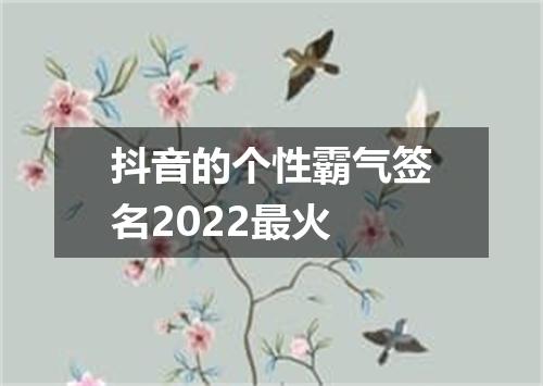 抖音的个性霸气签名2022最火