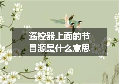 遥控器上面的节目源是什么意思