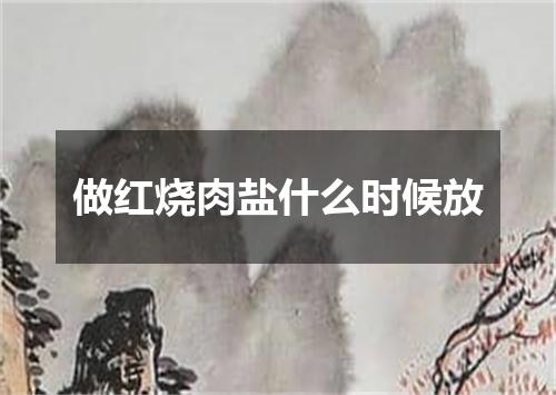 做红烧肉盐什么时候放