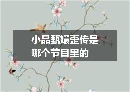 小品甄嬛歪传是哪个节目里的