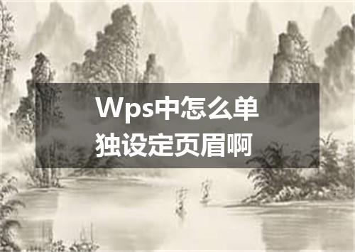 Wps中怎么单独设定页眉啊