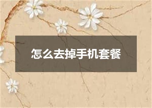 怎么去掉手机套餐