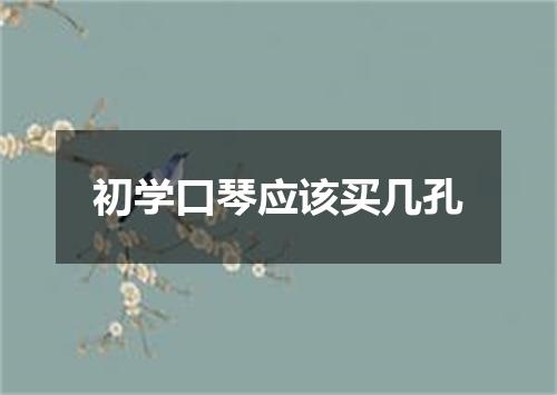 初学口琴应该买几孔