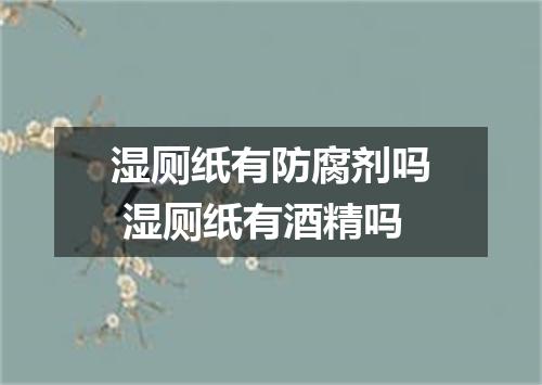 湿厕纸有防腐剂吗 湿厕纸有酒精吗