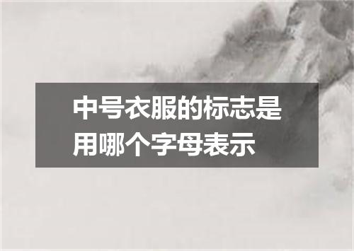 中号衣服的标志是用哪个字母表示