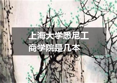 上海大学悉尼工商学院是几本