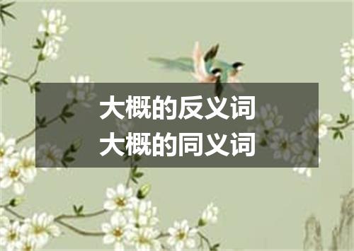 大概的反义词大概的同义词