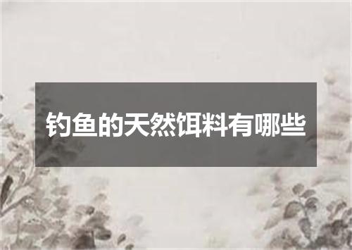 钓鱼的天然饵料有哪些