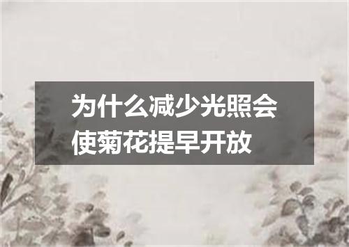 为什么减少光照会使菊花提早开放