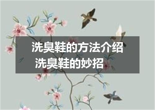洗臭鞋的方法介绍 洗臭鞋的妙招