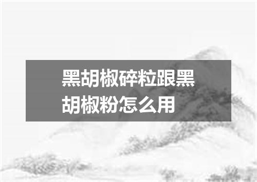 黑胡椒碎粒跟黑胡椒粉怎么用