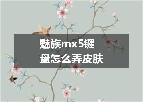 魅族mx5键盘怎么弄皮肤
