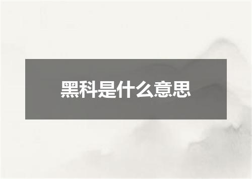 黑科是什么意思