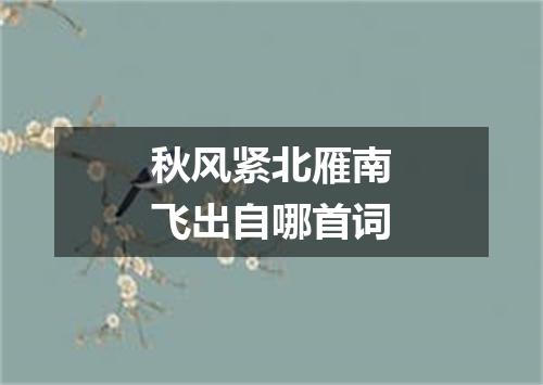 秋风紧北雁南飞出自哪首词