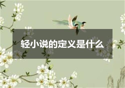 轻小说的定义是什么