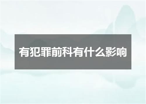 有犯罪前科有什么影响