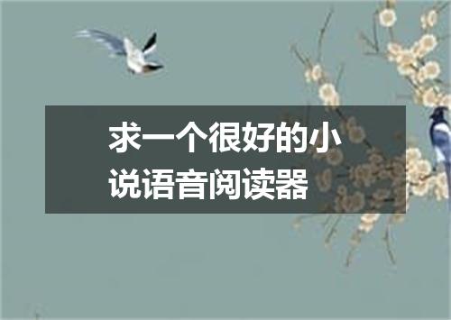 求一个很好的小说语音阅读器