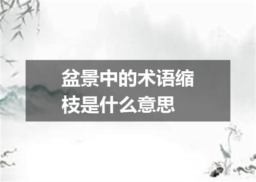 盆景中的术语缩枝是什么意思