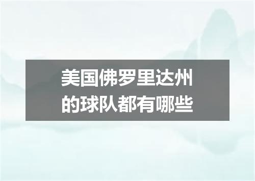 美国佛罗里达州的球队都有哪些