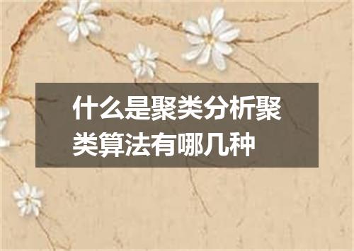 什么是聚类分析聚类算法有哪几种