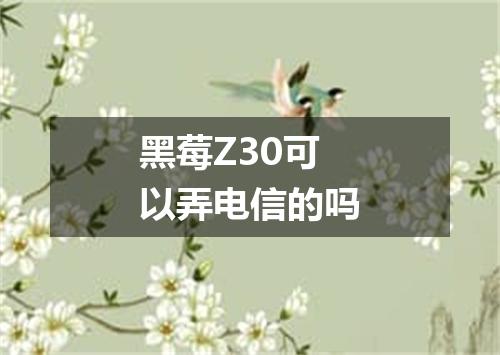 黑莓Z30可以弄电信的吗