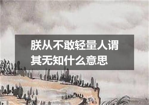 朕从不敢轻量人谓其无知什么意思