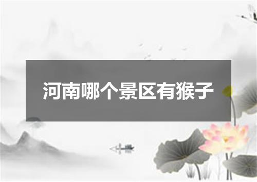 河南哪个景区有猴子