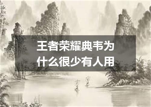 王者荣耀典韦为什么很少有人用