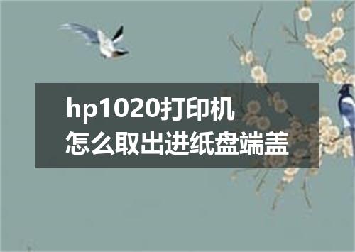 hp1020打印机怎么取出进纸盘端盖