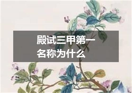 殿试三甲第一名称为什么