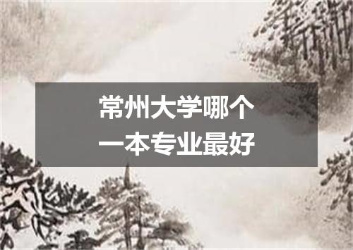 常州大学哪个一本专业最好