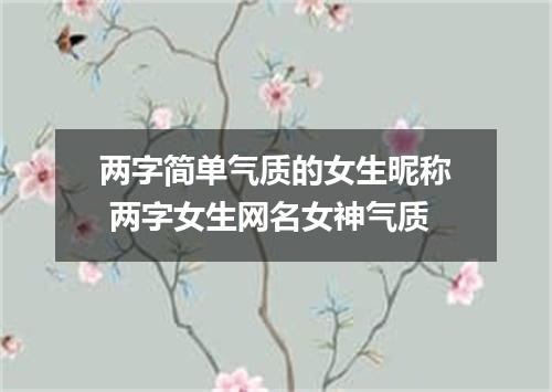两字简单气质的女生昵称 两字女生网名女神气质