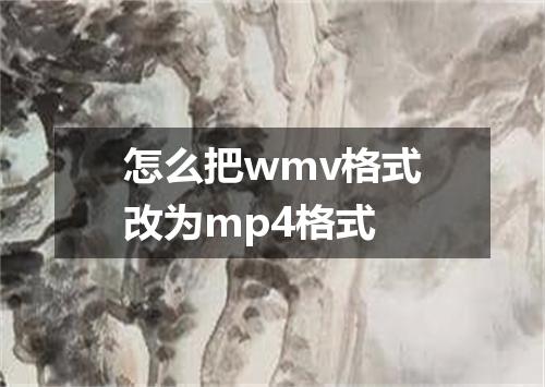 怎么把wmv格式改为mp4格式