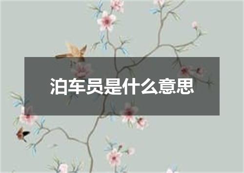 泊车员是什么意思