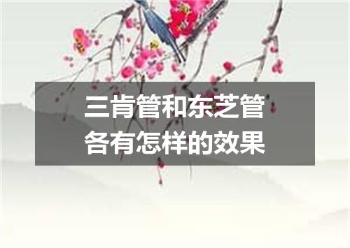 三肯管和东芝管各有怎样的效果