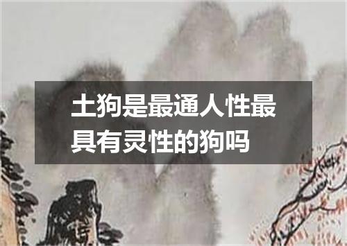 土狗是最通人性最具有灵性的狗吗