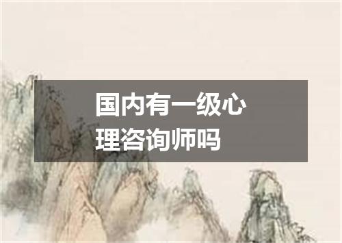 国内有一级心理咨询师吗
