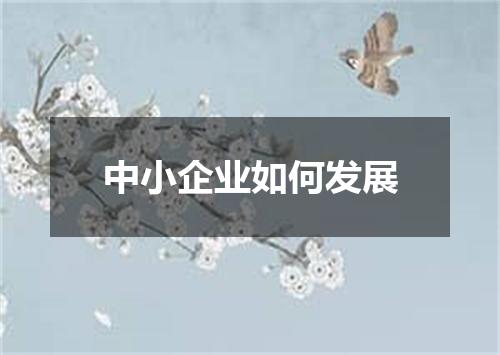 中小企业如何发展