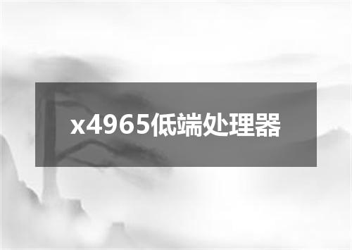x4965低端处理器