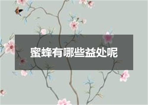 蜜蜂有哪些益处呢