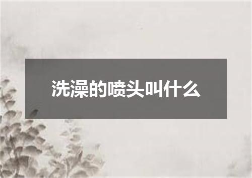 洗澡的喷头叫什么