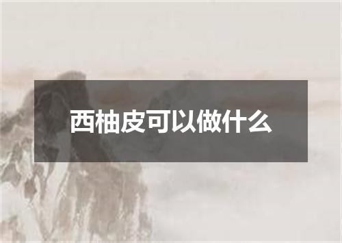 西柚皮可以做什么