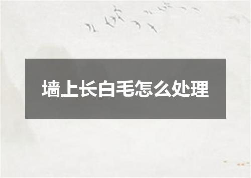 墙上长白毛怎么处理